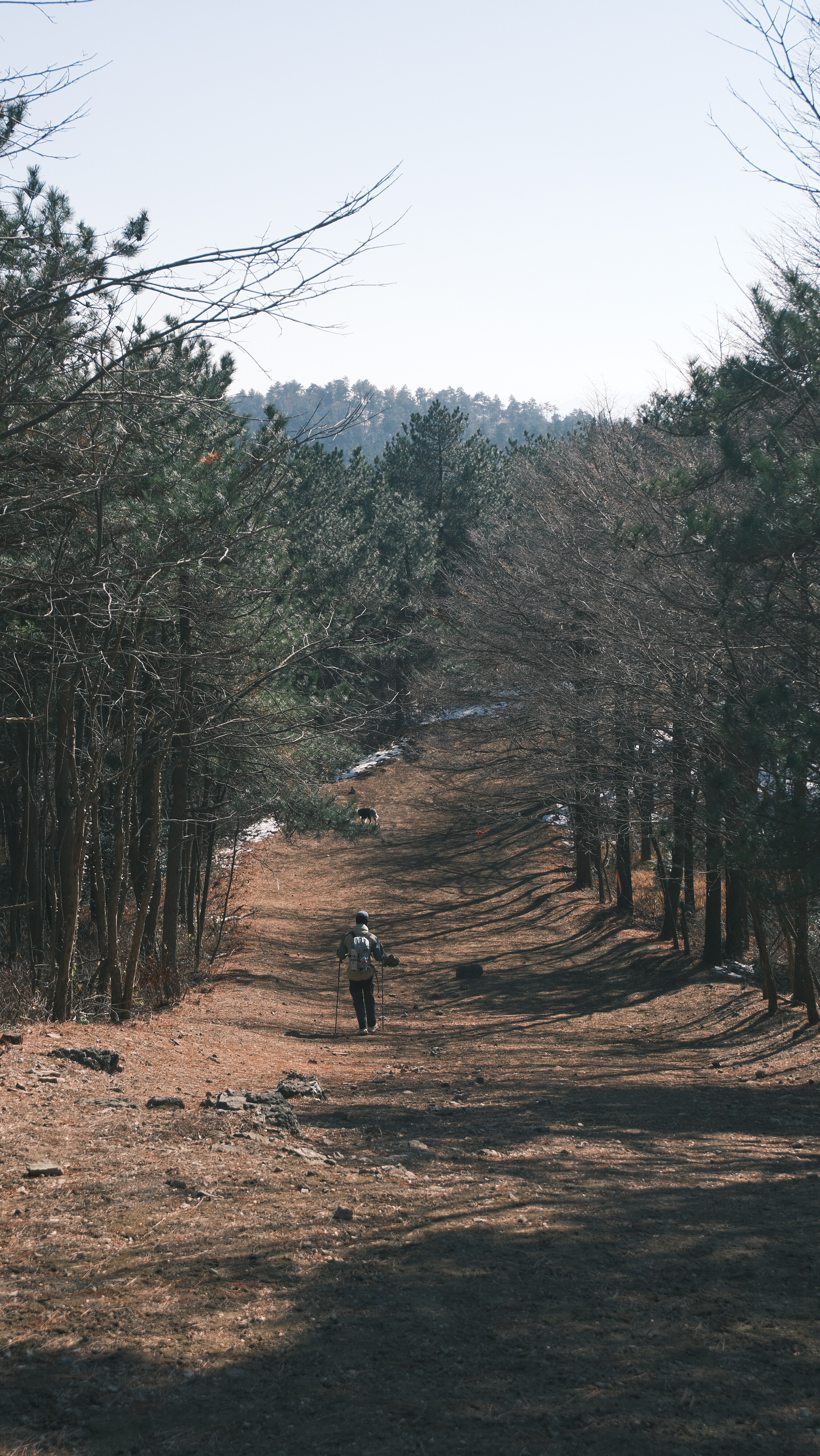 NC 滤镜拍出来一张有感觉的孤独的旅行者