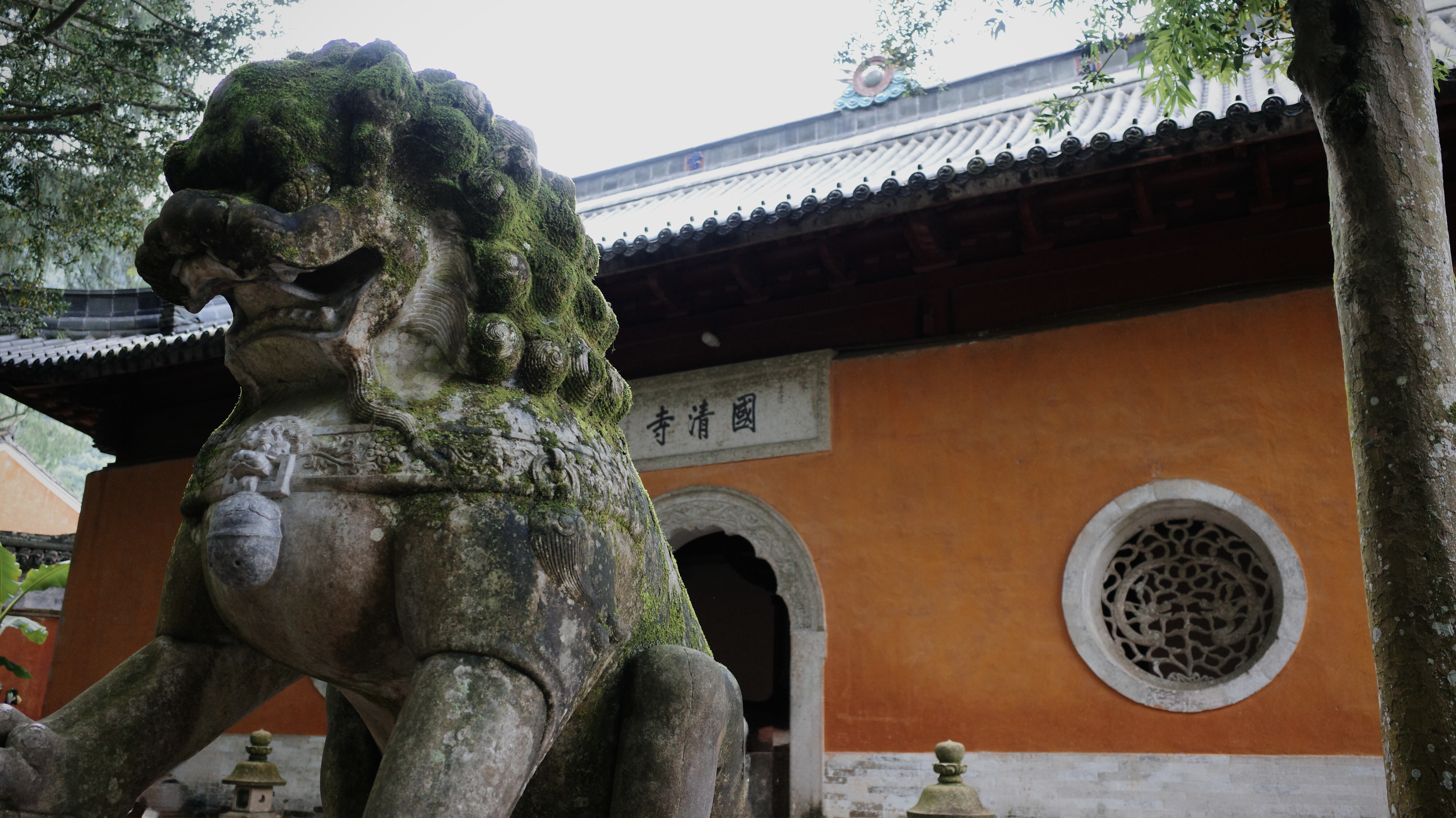 天台（tāi）游记