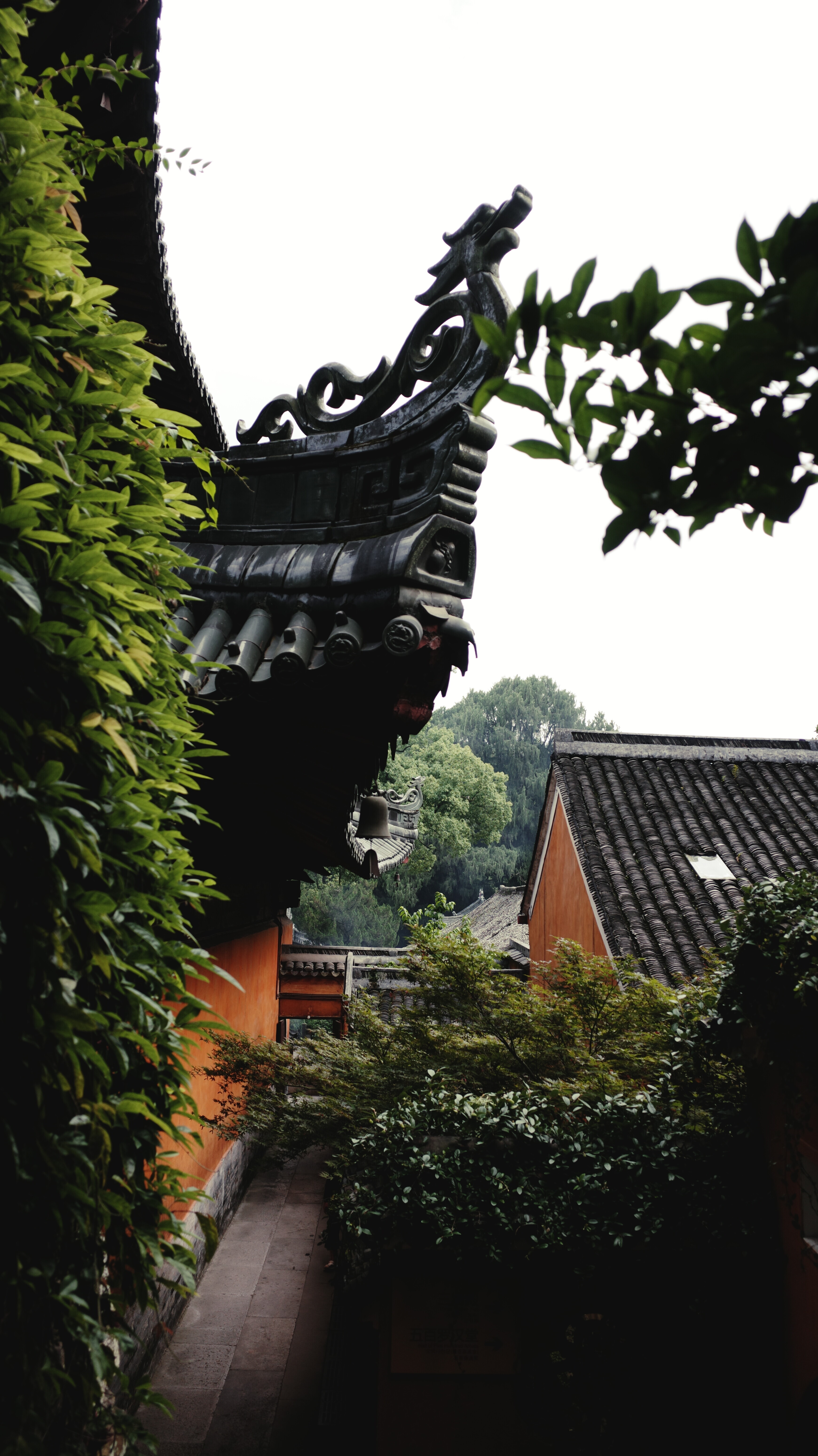 看看建筑