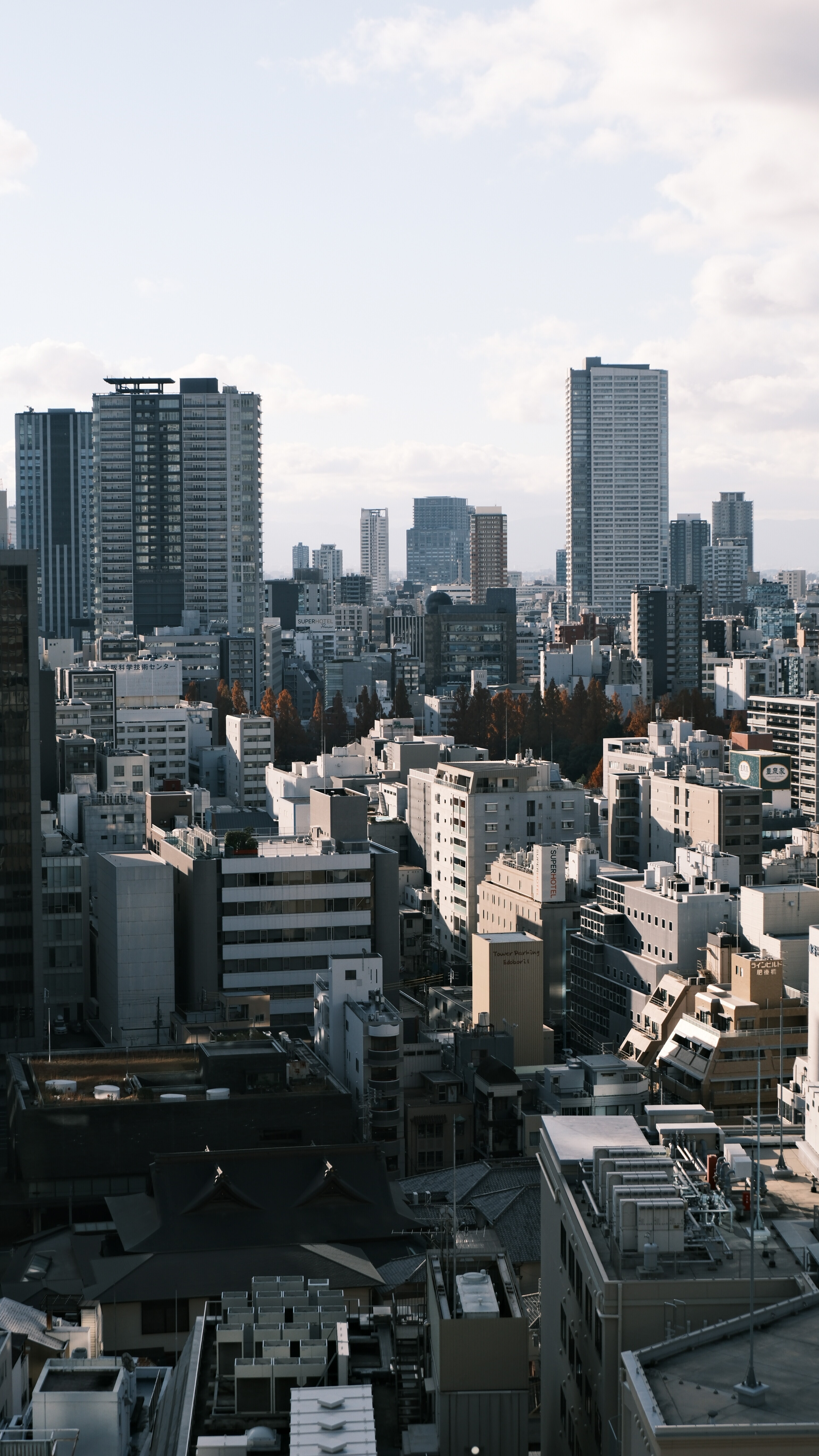 和前一天的样子也不同