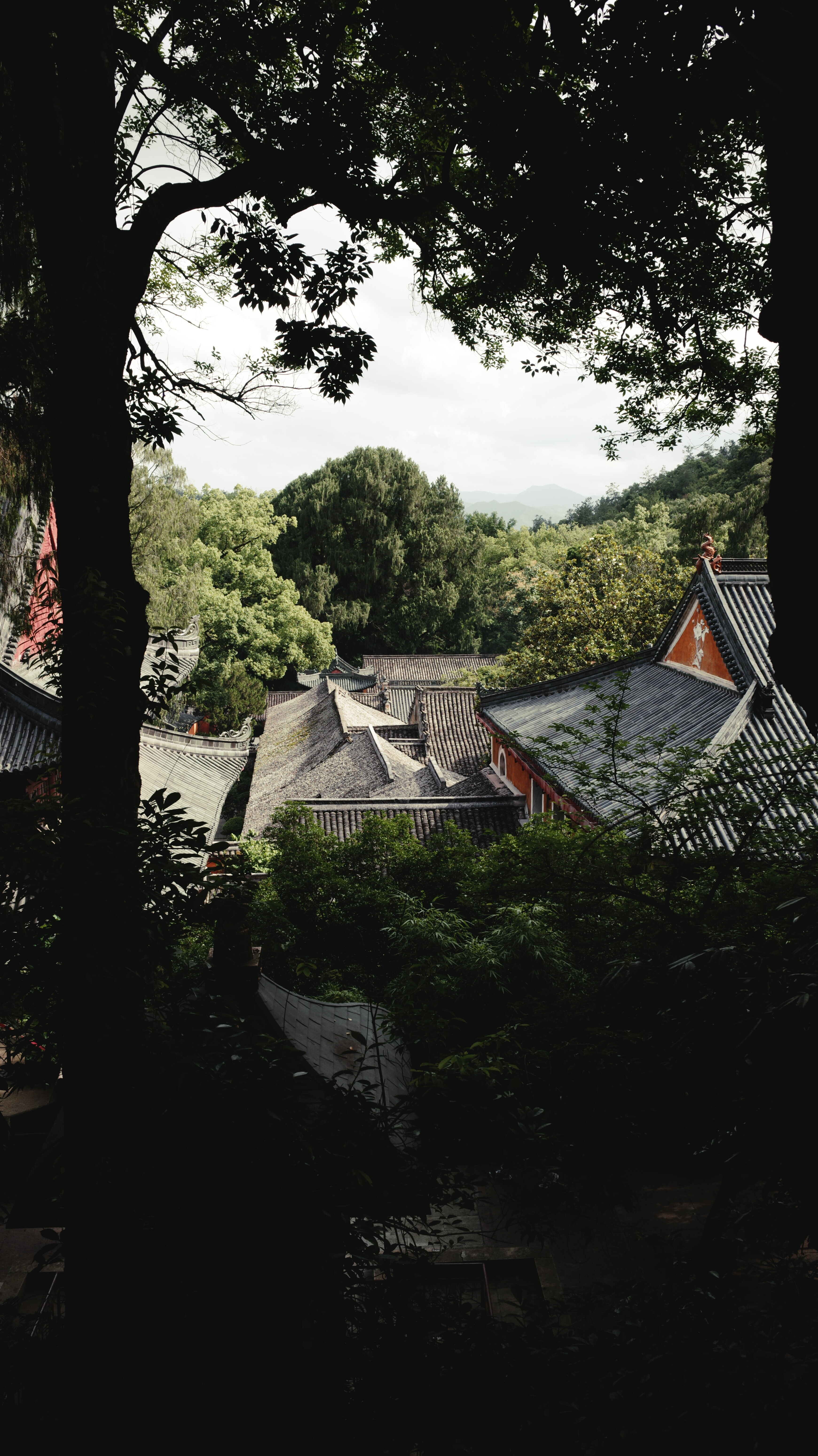 观音殿移步过去的远景